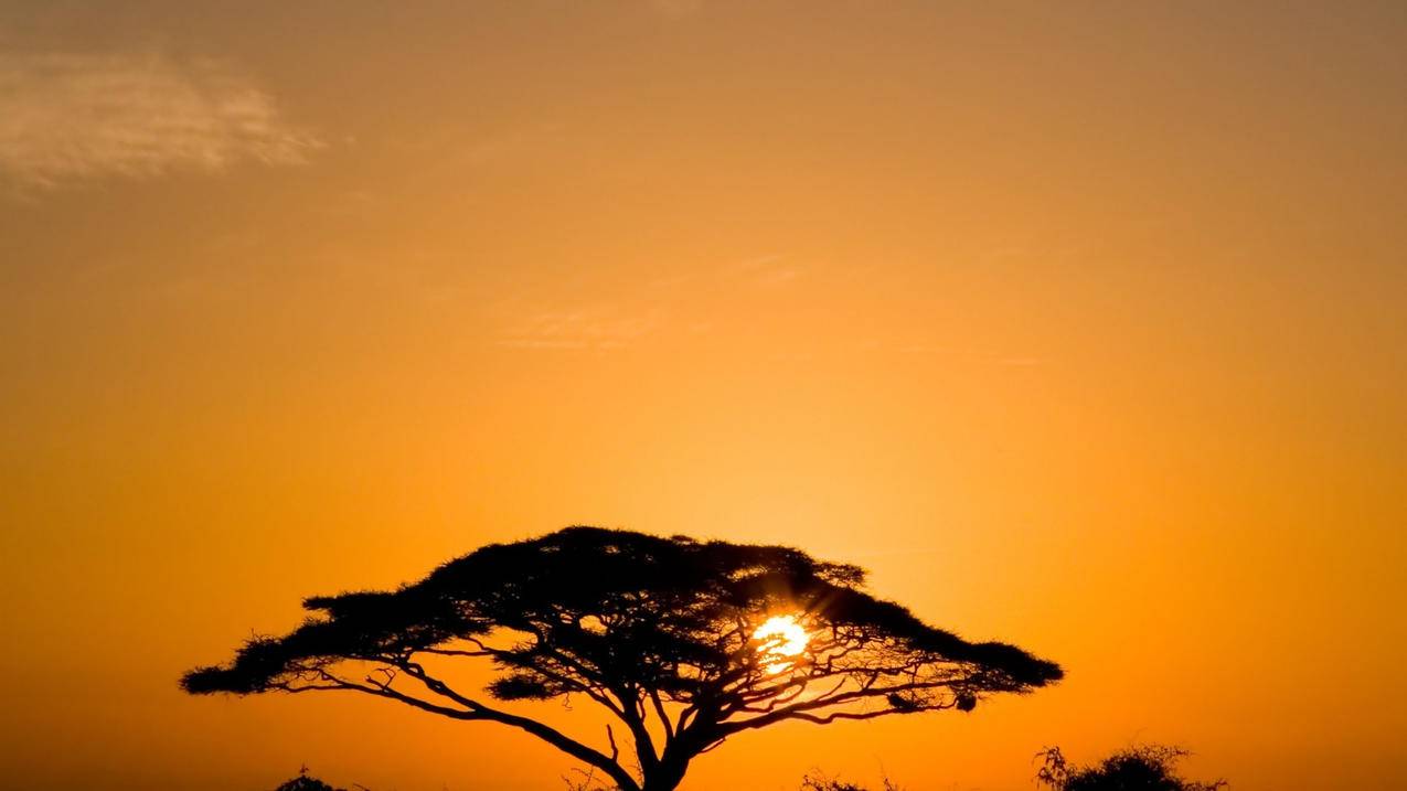 同一个美服苹果id怎么查找另一个手机的位置_同一个id的苹果手机怎么看另一个手机定位 - 美国苹果ID - 55dz账号网