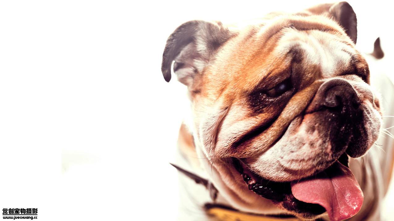 邵东地区高中数学教材版本有哪些？ - 自助下单ks - ks24小时自助