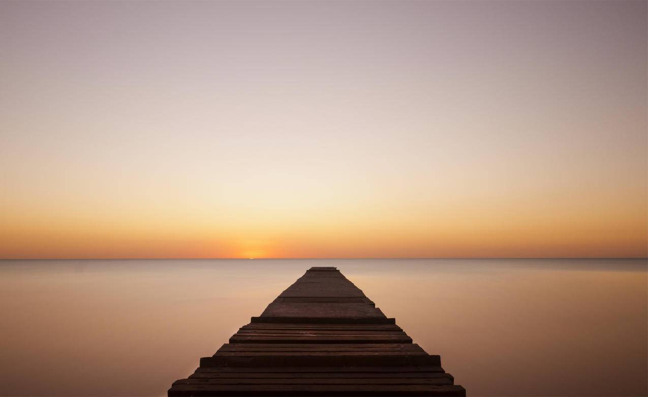 互联网公司校招大幅增加入职名额核心岗位首次开放 - Apple ID相关 - 55dz账号网