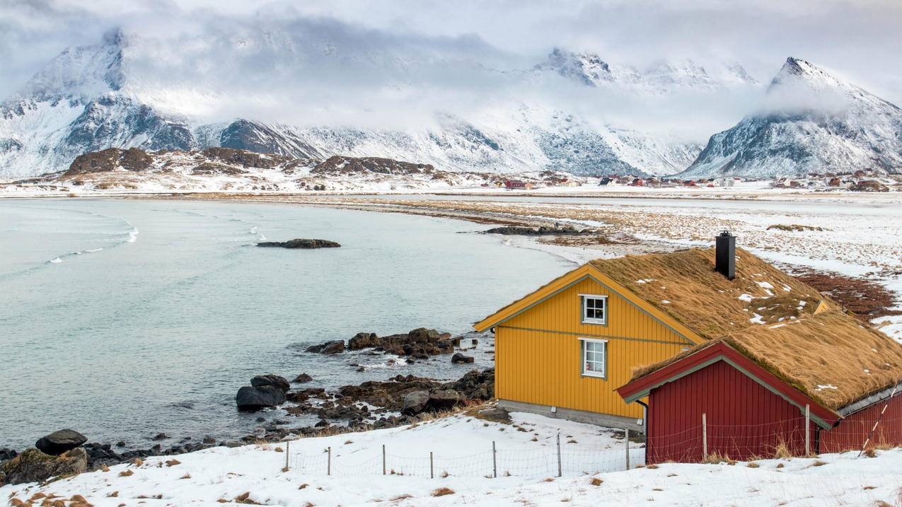 Apple store,你的Apple ID已被停用,怎么办?改了密码还是不行。 ， 苹果手机id锁住了怎么解开  - 55dz账号网