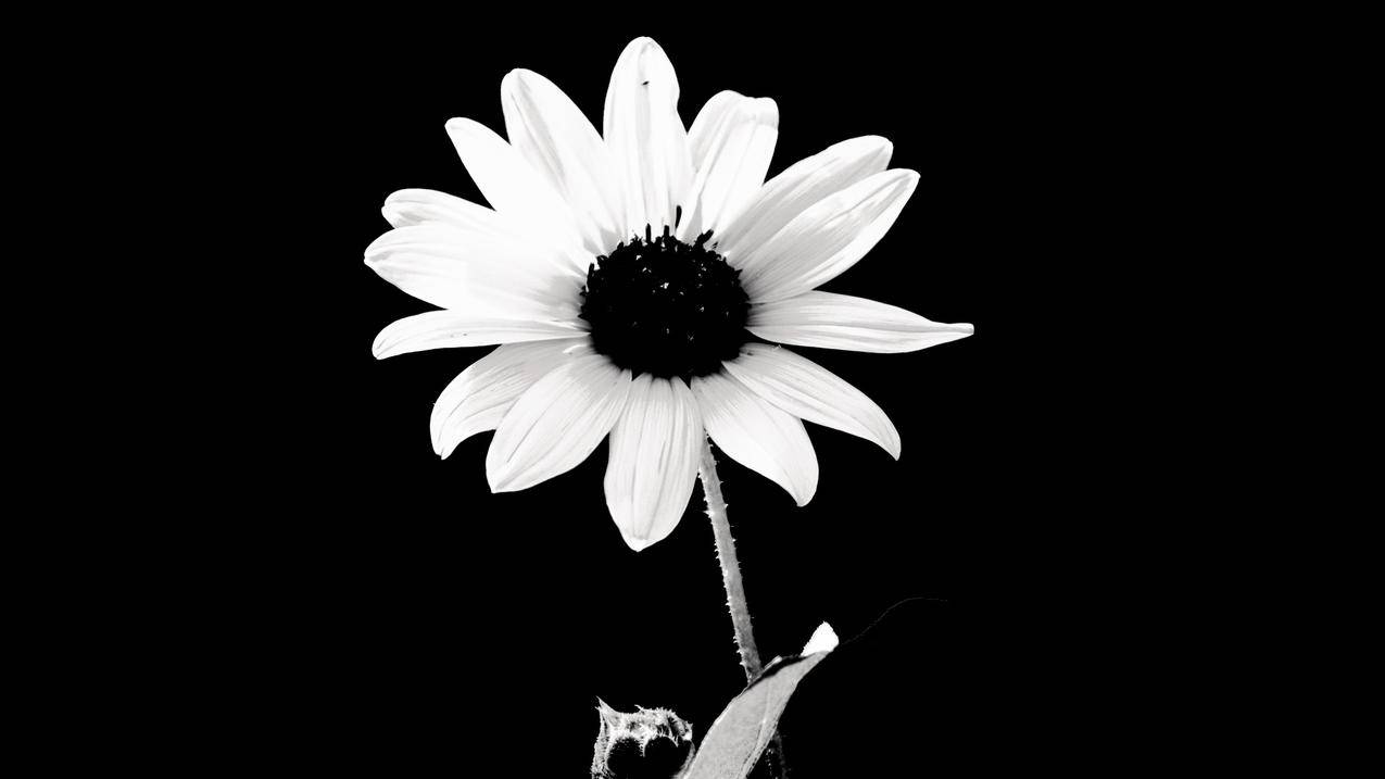 企业微信注册必须有公司吗_微信能注册企业微信吗 - 微信相关 - 55dz账号网