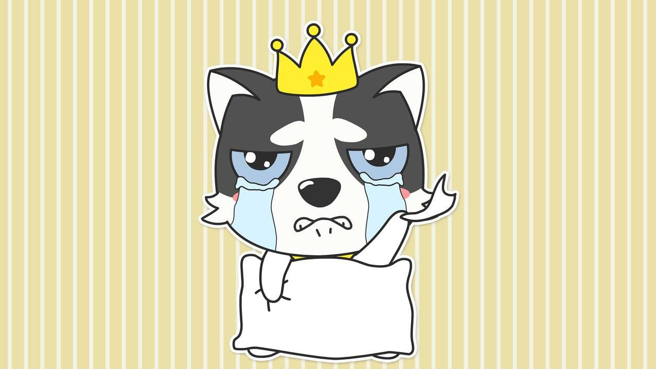 耐克zoomxinvinciblefk2配置_耐克Zoom2k - zoom相关 - 55dz账号网