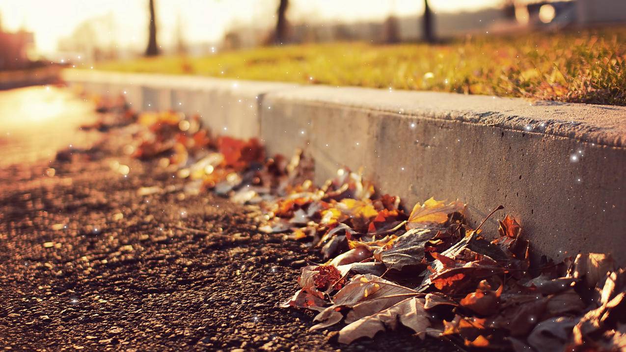 刷说说赞两分钟刷几万 - qq空间业务自助下单平台 - QQ刷赞网站