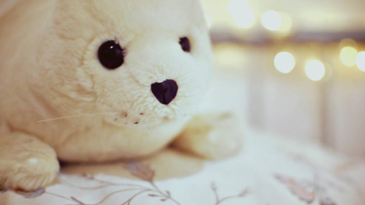 美国苹果id注册教程知乎_自己怎么注册美国苹果ID - 各区苹果ID - 55dz账号网