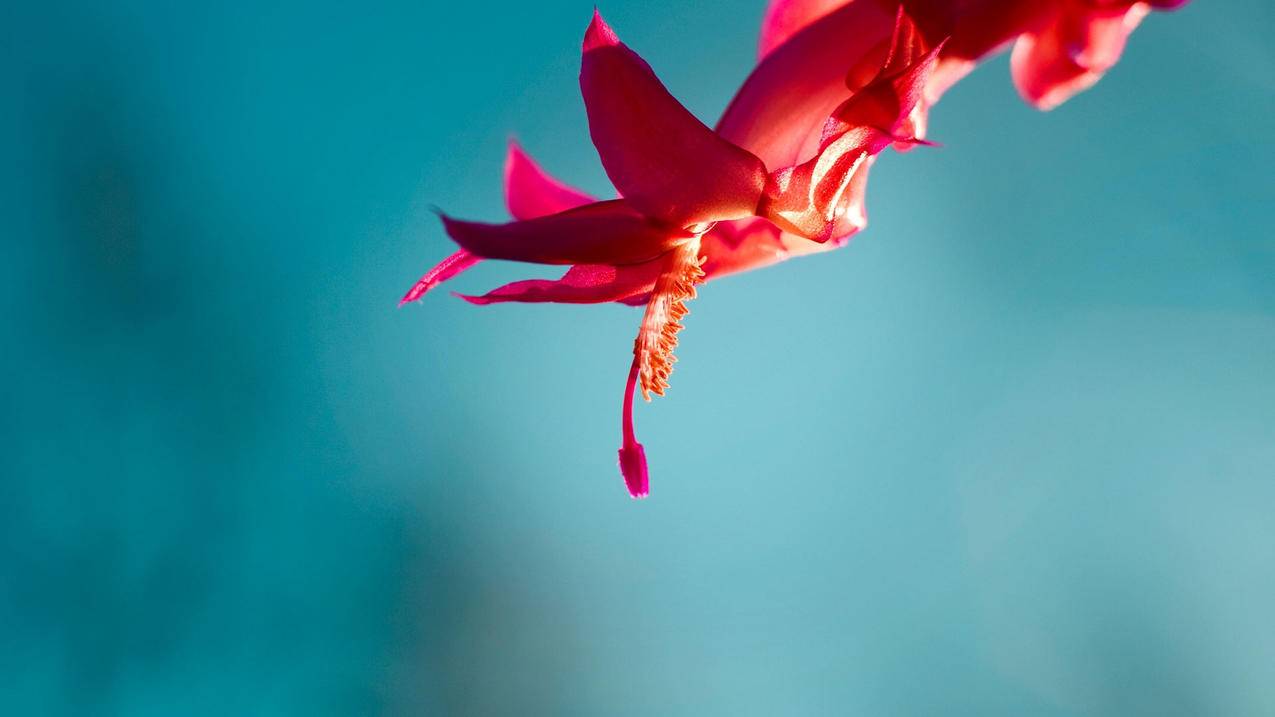 nba2k20怎么换球鞋视频教学_2k20怎么赛前换鞋 - IOS分享 - 55dz账号网