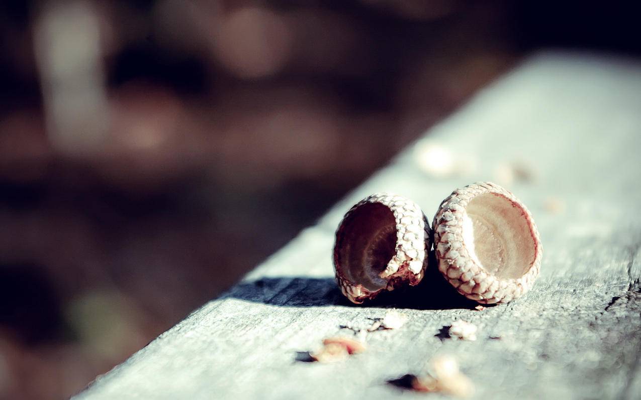 nba2konline2画面卡顿怎么办_nba2konline2画面设置不卡顿 - IOS分享 - 55dz账号网