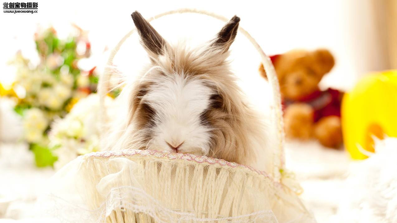 苹果电脑香港appleid登陆要很久?_苹果手机登陆id要多久 - 香港苹果ID - 55dz账号网