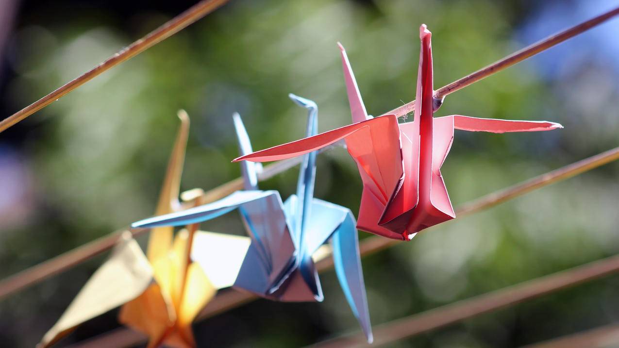 WhatsApp翻译 手机WhatsApp自动翻译  ( 手机WhatsApp翻译 ) - 55dz账号网