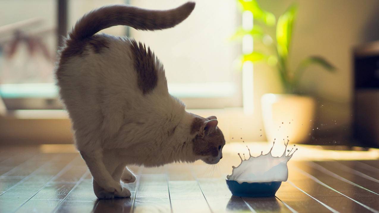 微信又出新功能，有这些重要变化 - Apple ID相关 - 55dz账号网