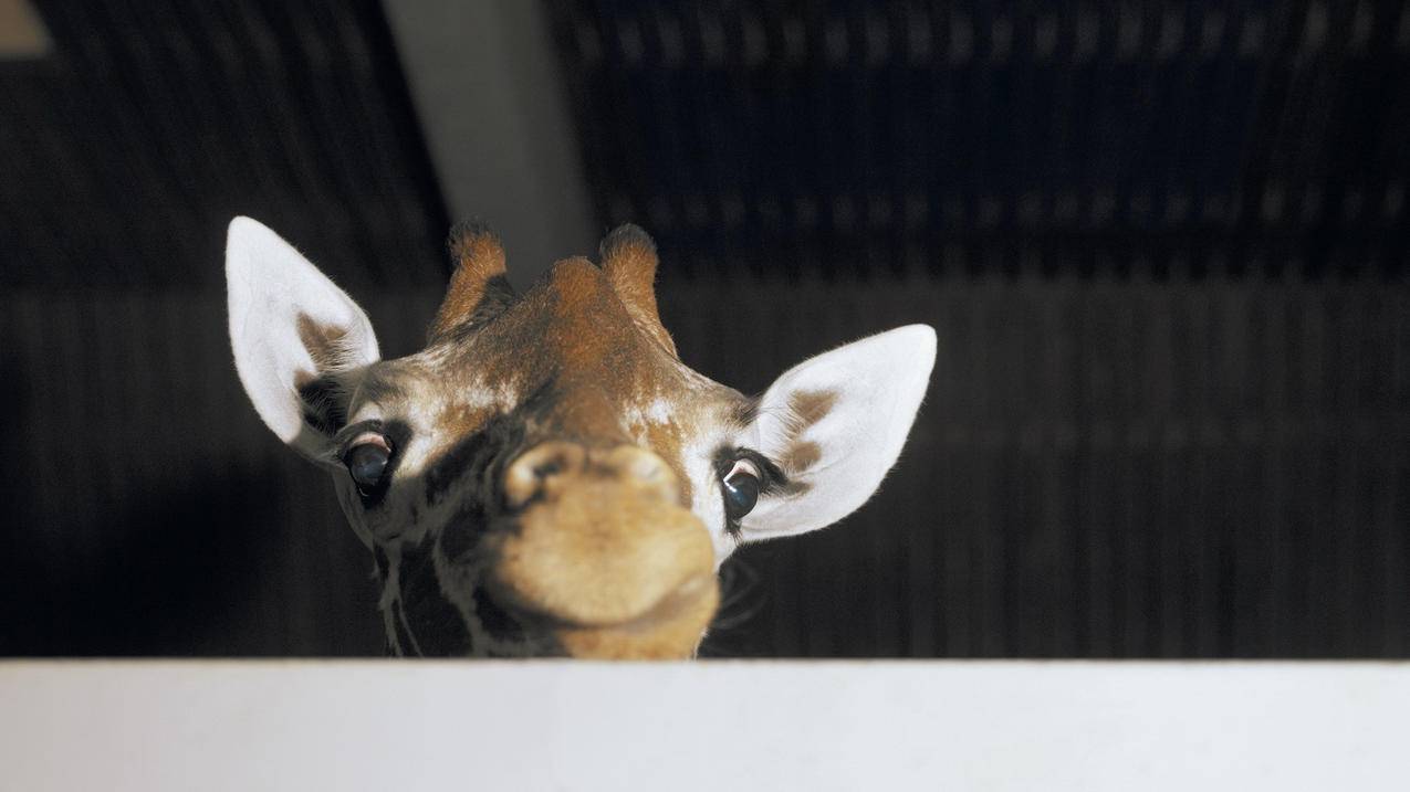 ins账号被冻结收不到邮件_ins邮箱注册,没收到邮件 - INS相关 - 55dz账号网