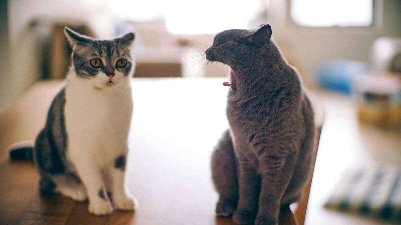 ins用谷歌邮箱注册不了_ins不能用邮箱注册 - gmail相关 - 55dz账号网