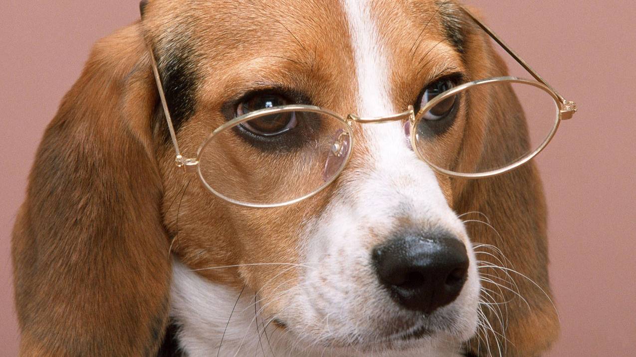 163邮箱官网注册_163邮箱官网注册格式 - gmail相关 - 55dz账号网