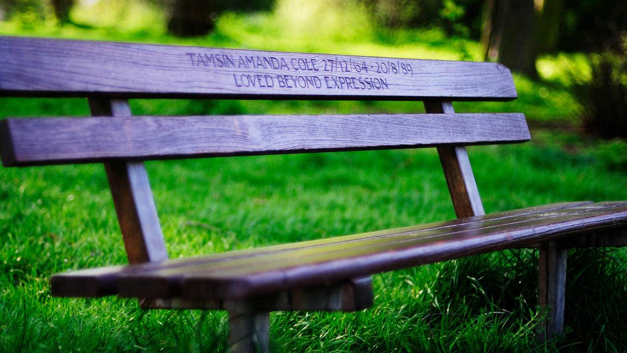 退了一下苹果id照片少了一半_iphone id退了照片是不是不会再出现了 - 美国苹果ID - 55dz账号网