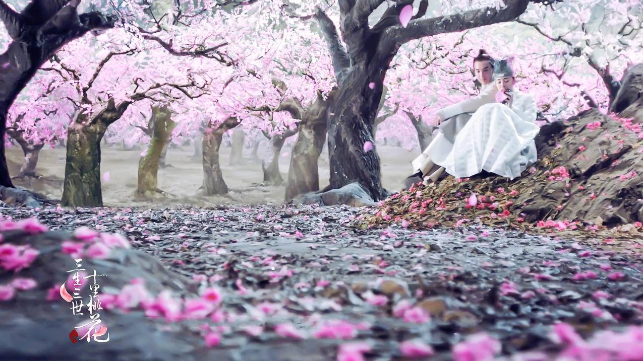 tiktok辅助软件免费_tiktok助手破解版 - tiktok相关 - 55dz账号网