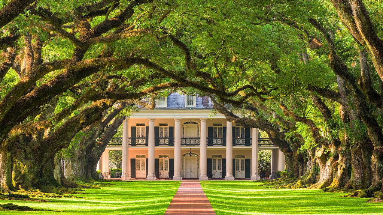 如何投放千川投流？ - 自助下单平台 - ks业务网