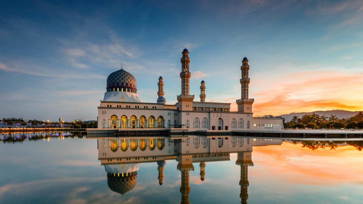 ins怎么转换语言_ins如何更换语言 - INS相关 - 55dz账号网