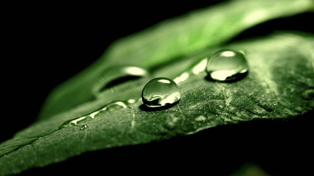 nba2k20辉煌生涯罚球动作_nba2k20生涯模式罚球动作推荐 - IOS分享 - 55dz账号网