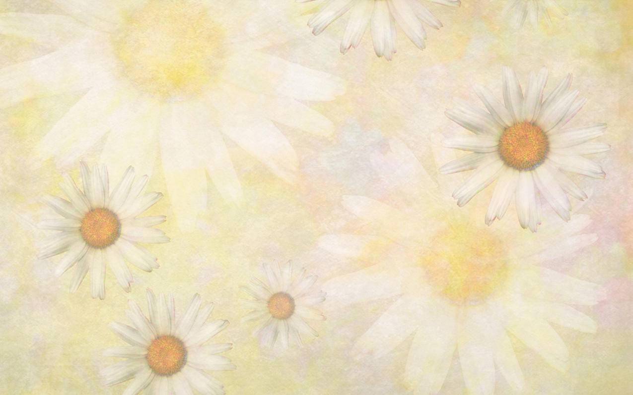 0.1元刷快手 - 抖音刷视频评论点赞,快手平台刷活粉