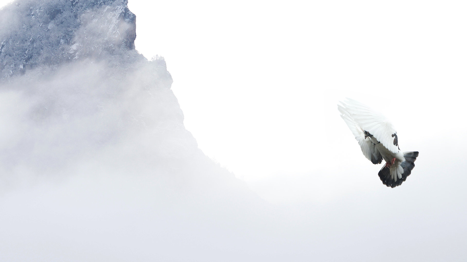 拼多多刷dsr软件-低价快手粉丝网站,一梦代刷网,快速刷抖音点赞