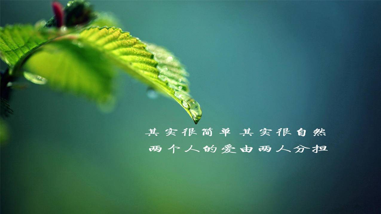 ins检查是什么意思_ins是查什么的? - INS相关 - 55dz账号网