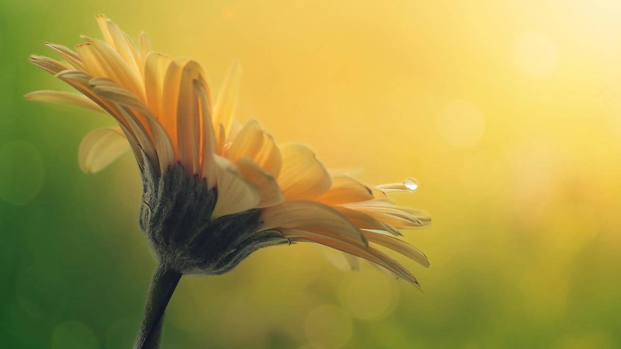 ins老是稍等几分钟再试_ins稍等几分钟再试什么意思 - INS相关 - 55dz账号网