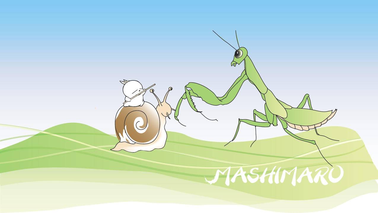 香港苹果id怎么用手机号找回来_用手机号码怎么找回苹果id - 香港苹果ID - 55dz账号网