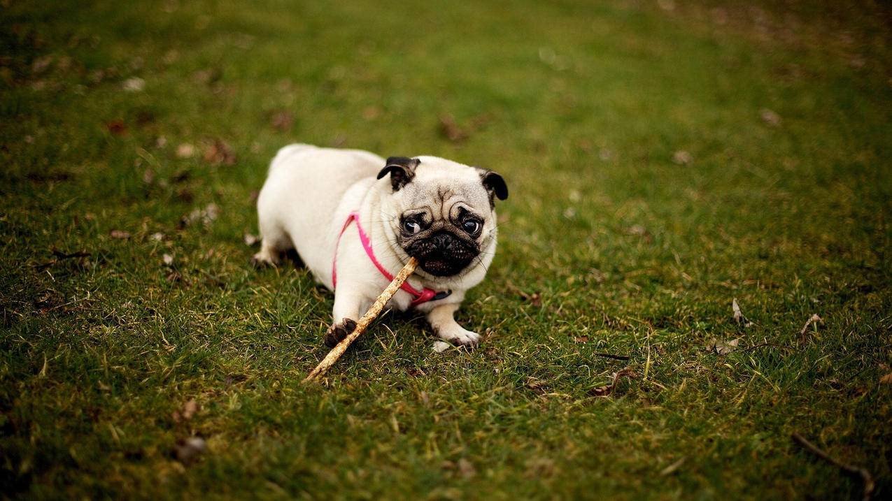 ins显示无网络连接怎么办_ins无网络连接是怎么回事 - INS相关 - 55dz账号网