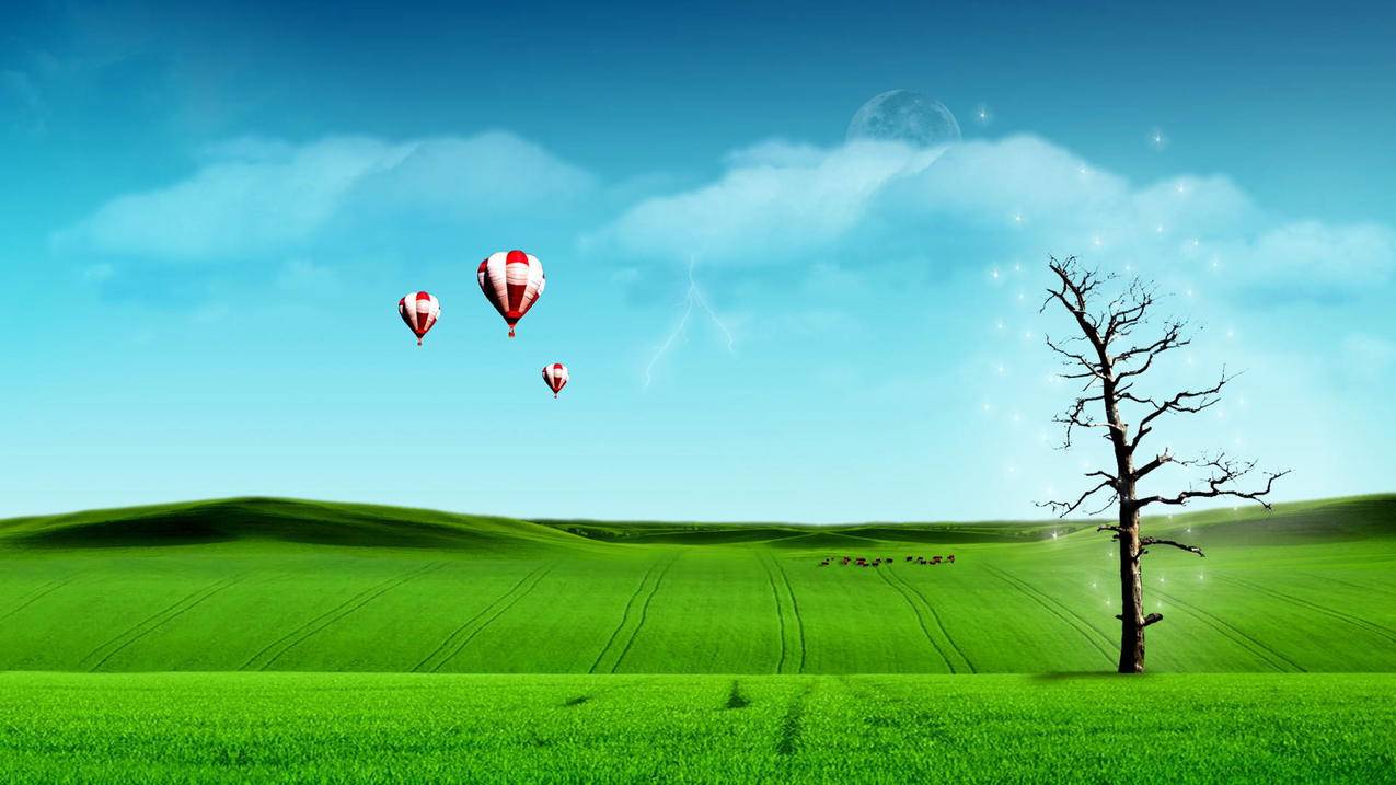 谷歌历史地图二维码在哪  ( 怎么使用Chrome浏览器将二维码扫描 ) - 55dz账号网