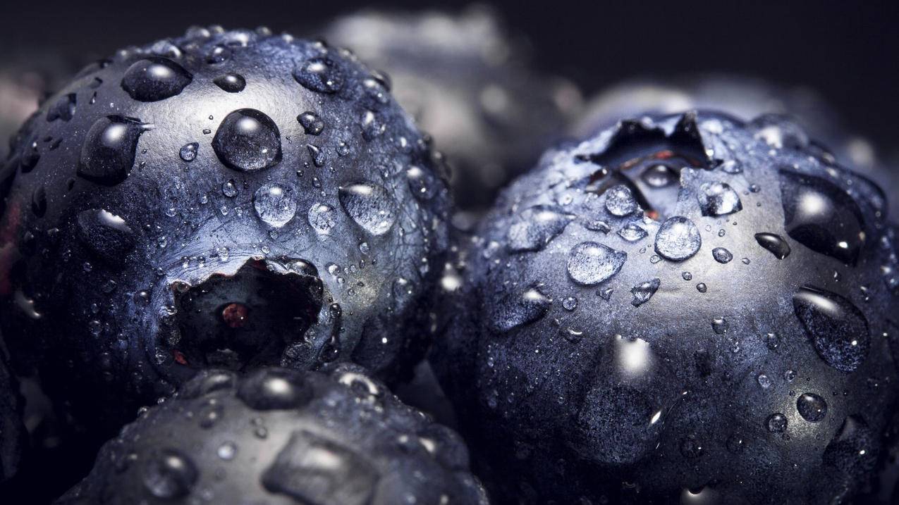 youtube安卓中文翻译插件_安卓youtube自动翻译 - youtube相关 - 55dz账号网