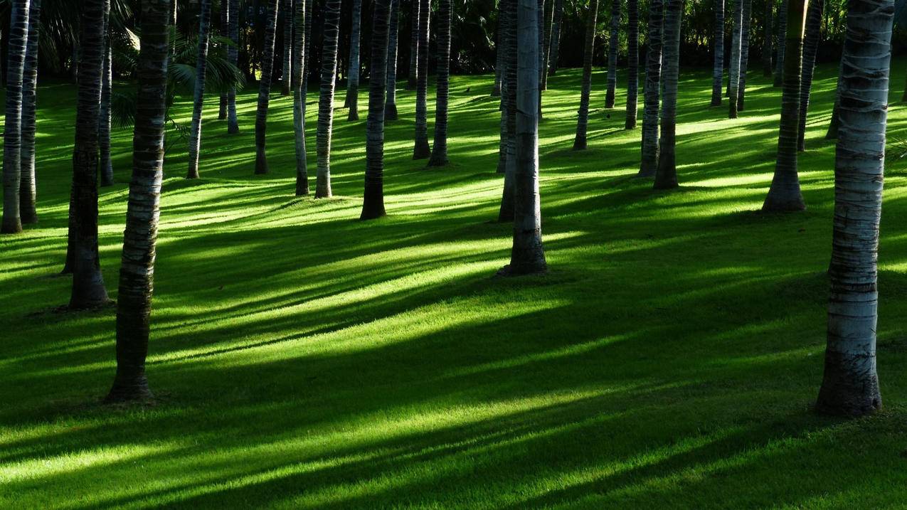 ssr高速节点购买网址_付费ssr节点购买网址推荐 - 注册外服方法 - 55dz账号网