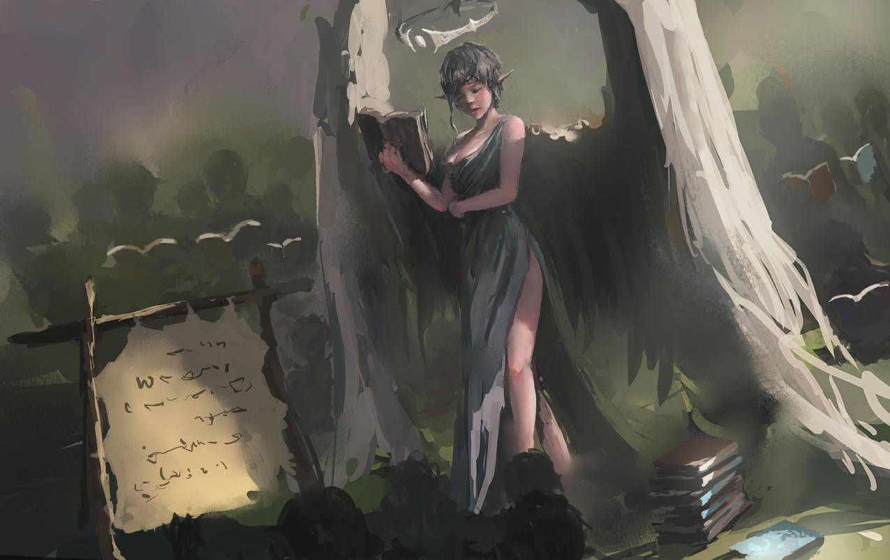 微信怎样申请ETC_微信怎样申请视频号 - 微信相关 - 55dz账号网