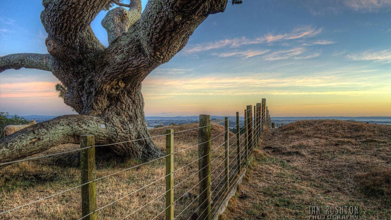 苹果手机如何充值Q币 ， 苹果手机怎么用q币充值游戏  - 55dz账号网