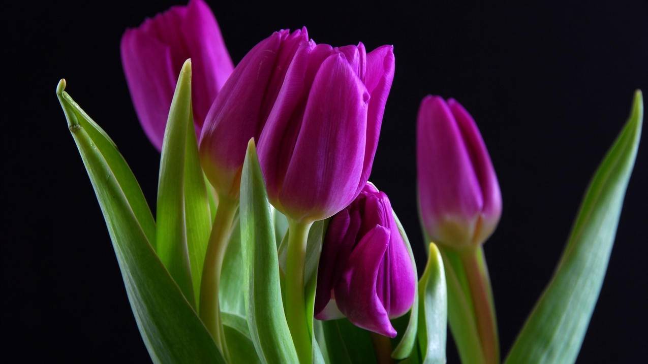 qq空间说说赞网站-抖音刷赞业务平台一元一百,万宝代刷网,刷抖音赞超级便宜