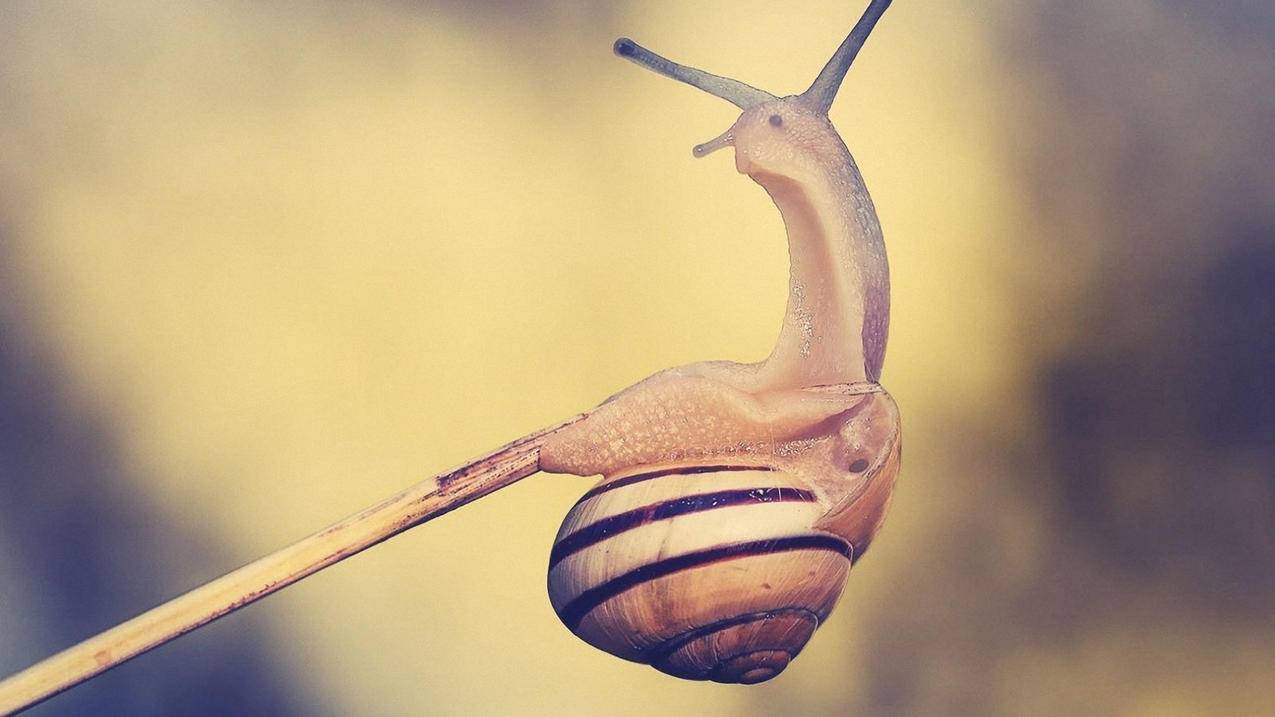 苹果id退出重新登陆照片少了很多怎么办_苹果id退出登录然后重新登陆照片不见了 - 各区苹果ID - 55dz账号网