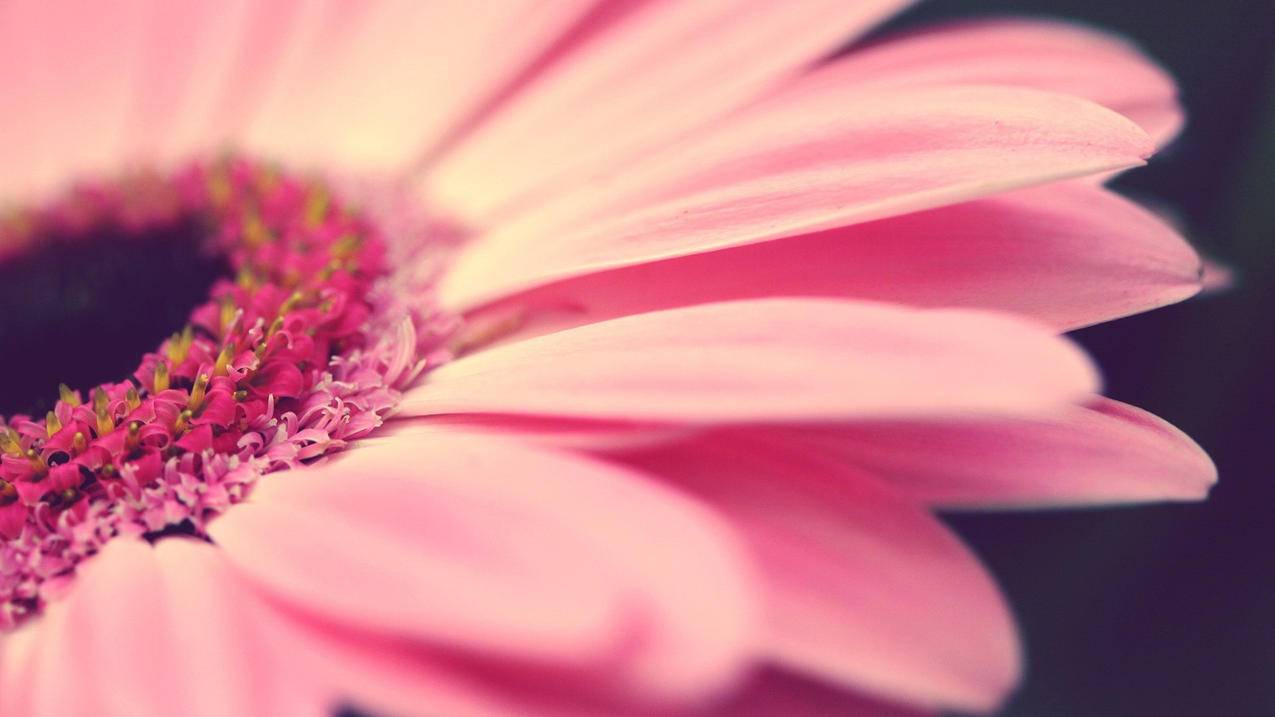 城区6支街道综合行政执法队集中授牌成立 - Apple ID相关 - 55dz账号网