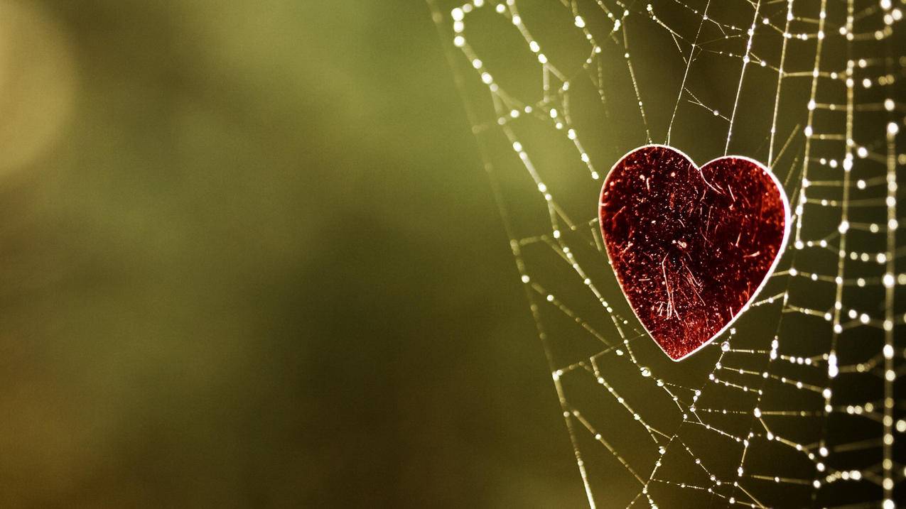 工行新上线美国运通Clear信用卡！时尚经典，办一张境内、境外支付畅行无阻！ - Apple ID相关 - 55dz账号网