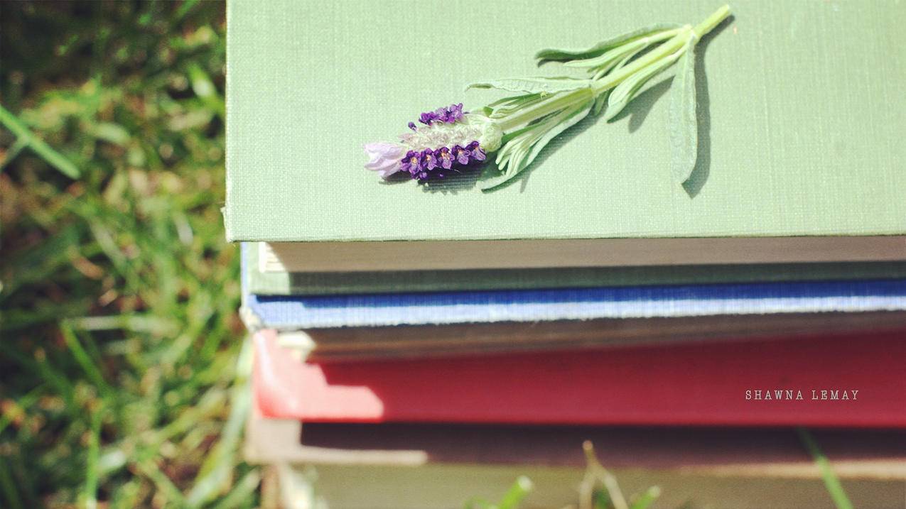 苹果手机id密码忘了怎么办? ， 如何找回苹果手机的ID账号跟密码  - 55dz账号网