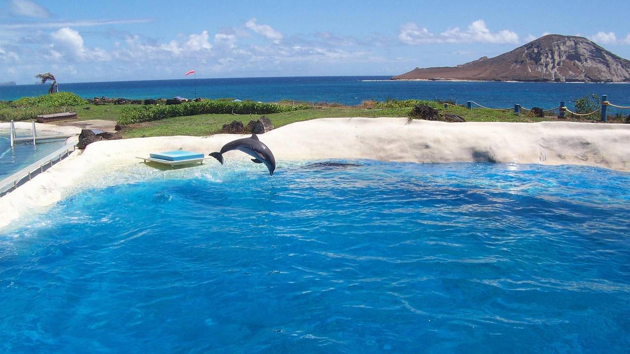 外国软件油管连不上网怎么办_如何下载国外油管app - youtube相关 - 55dz账号网