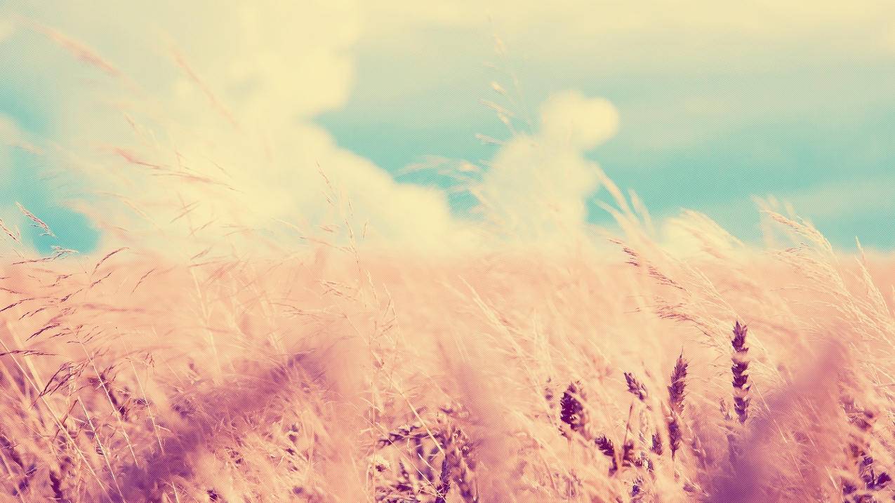 快手双击低价下单平台微信支付,免费刷QQ空间访客,刷赞平台全网+最低价啊QQ免费