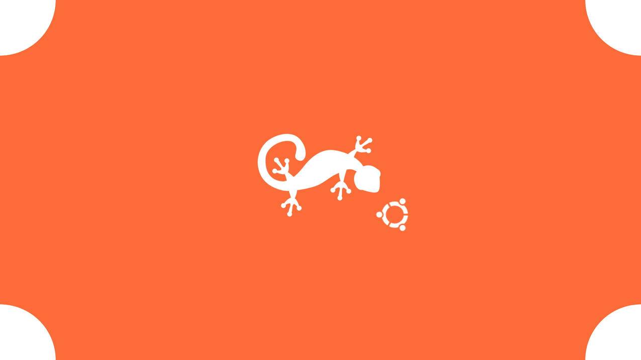 nba2konline经典版乔丹测评_nba2konline2小乔丹怎么样 - Line相关 - 55dz账号网