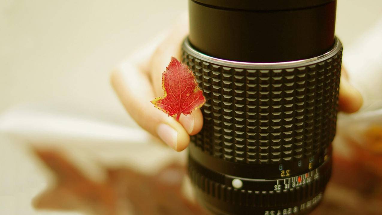 zoom微信登录失败1044_微信登录不了zoom - zoom相关 - 55dz账号网