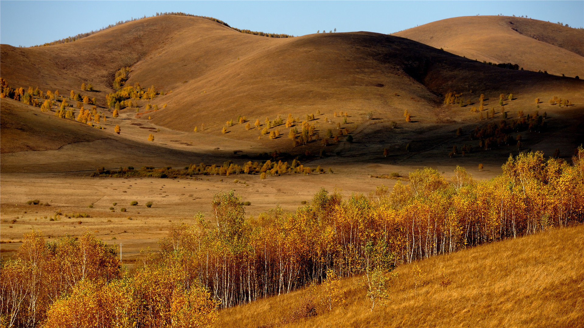 国行苹果能登陆外国id吗  ( 苹果电脑登不进ID怎么办 ) - 55dz账号网