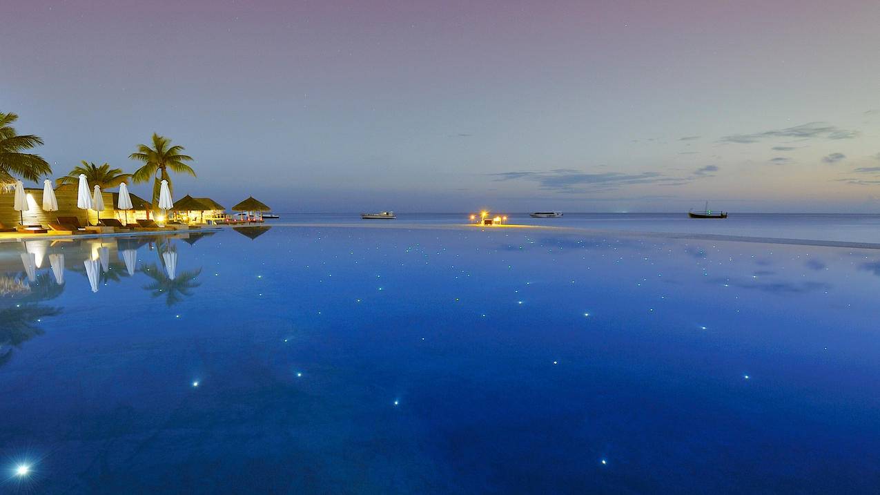 推特直播间的评论区在哪  ( 推特电脑端可以看评论到手机看不了 ) - 55dz账号网