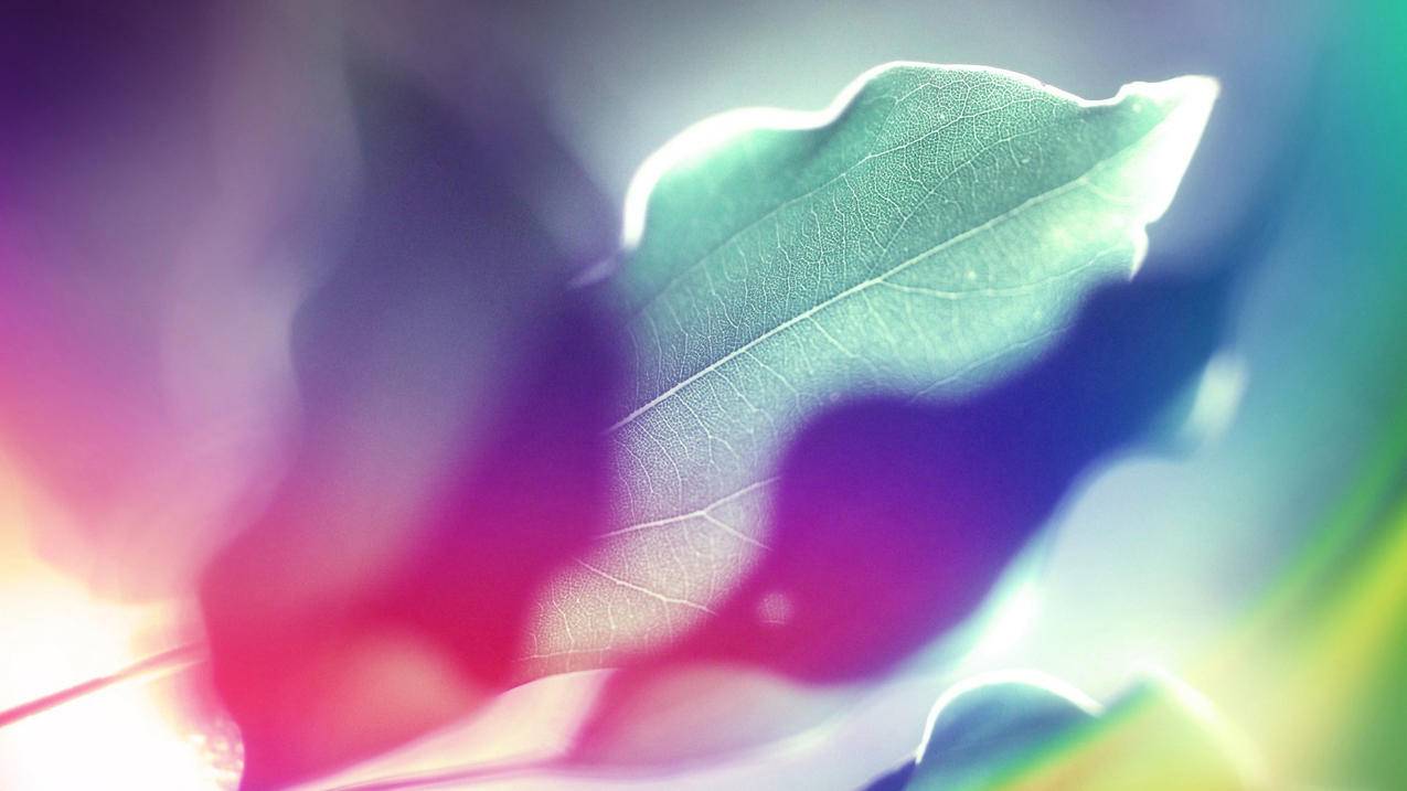 小红书dy24h自助如何做 - 自助平台 - dy业务网