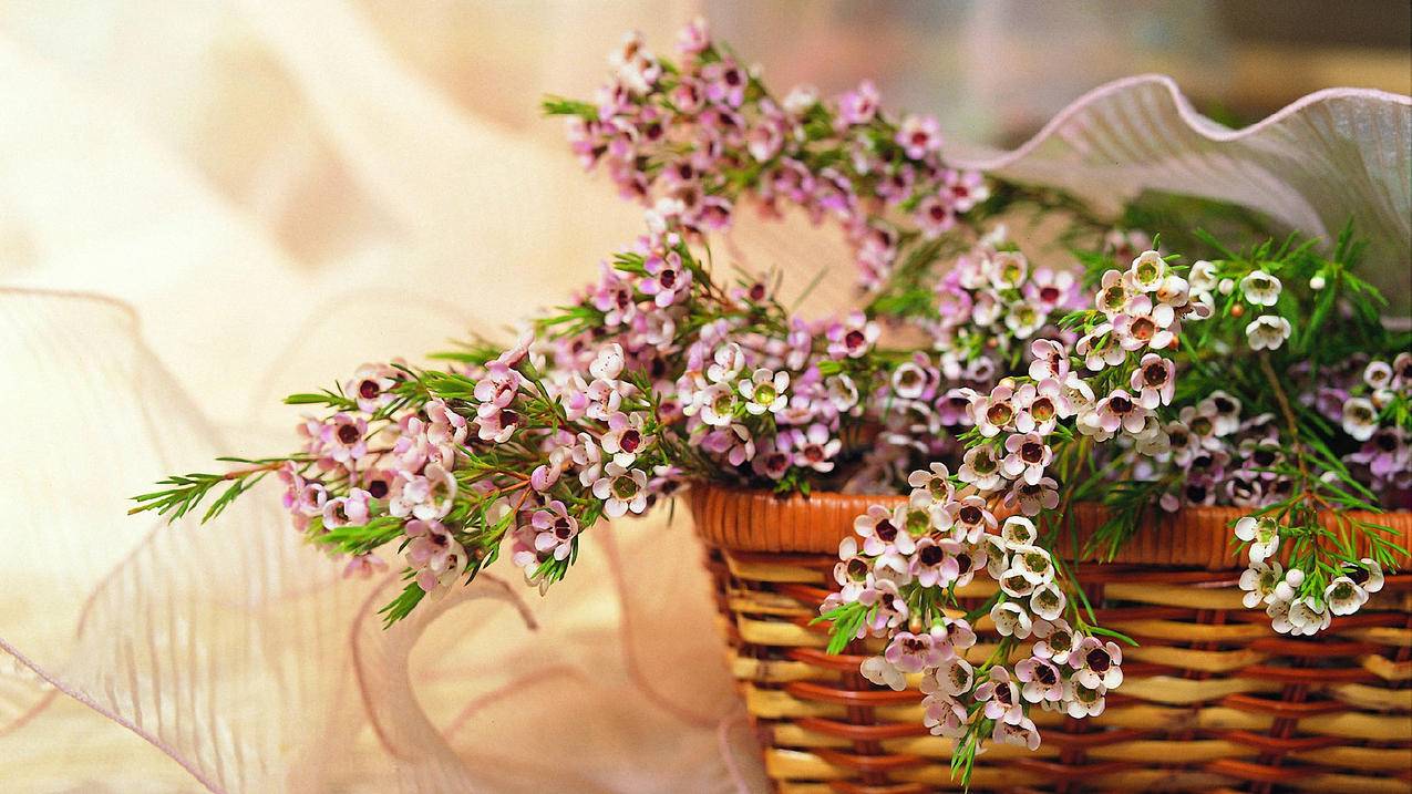 淘宝上卖的美版手机靠谱吗？ - Apple ID相关 - 55dz账号网