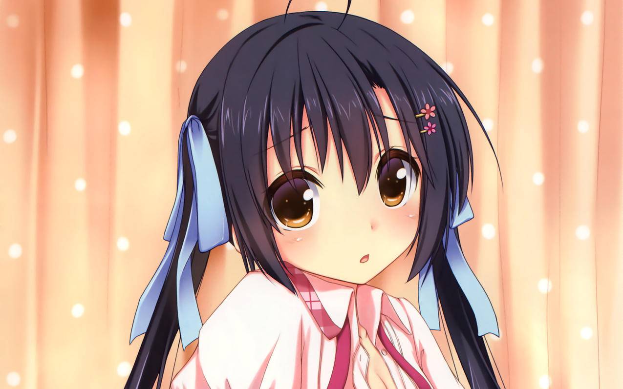 苹果手机 AppleID的账号和密码忘了,怎么解决? ， 用手机号码注册的苹果id密码忘记了怎么办?  - 55dz账号网