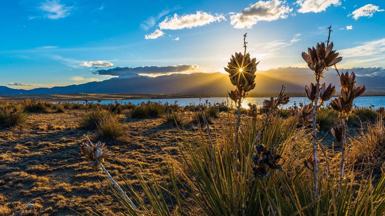 推特视频快捷指令  ( twitter的视频放不了? ) - 55dz账号网