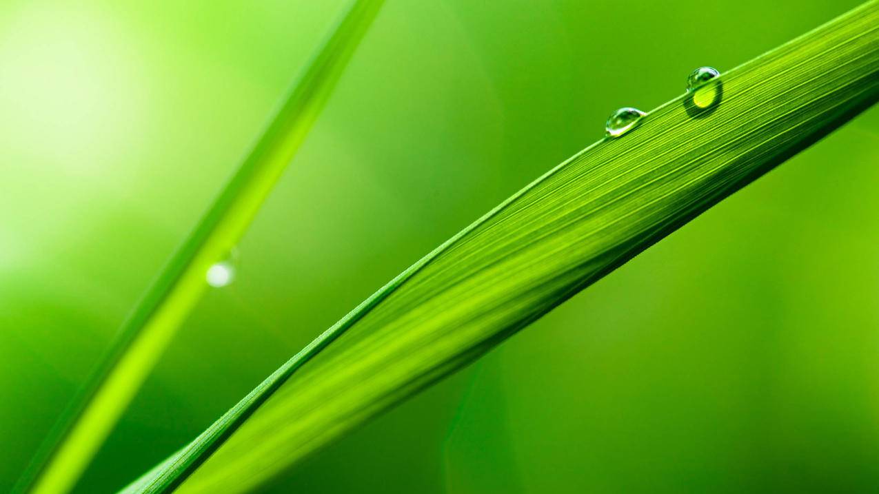 teamviewer如何绑定二次验证码(谷歌身份验证码)?  ( 谷歌Gmail的用户两步验证使用教程 ) - 55dz账号网