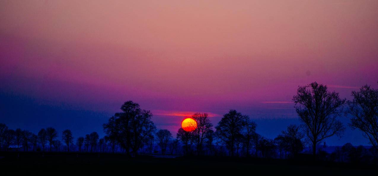 电子邮箱注册申请官网电子邮件地址_电子邮箱注册申请官网电子邮件地址怎么填写 - gmail相关 - 55dz账号网