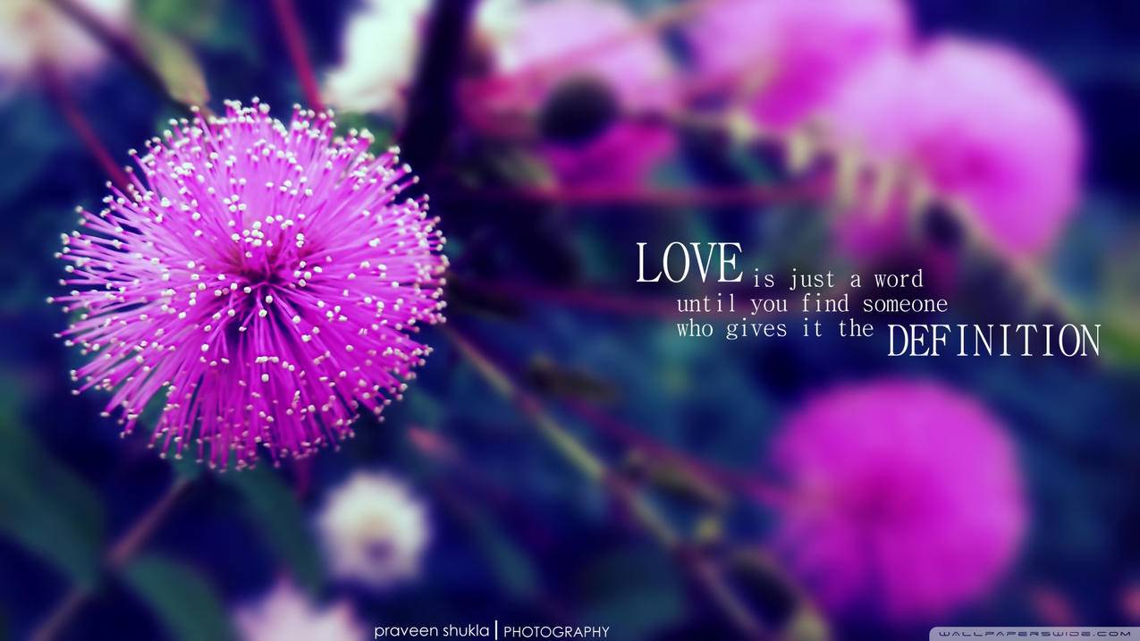 appleid日本填写资料_iphone日本id填写 - Apple ID相关 - 55dz账号网